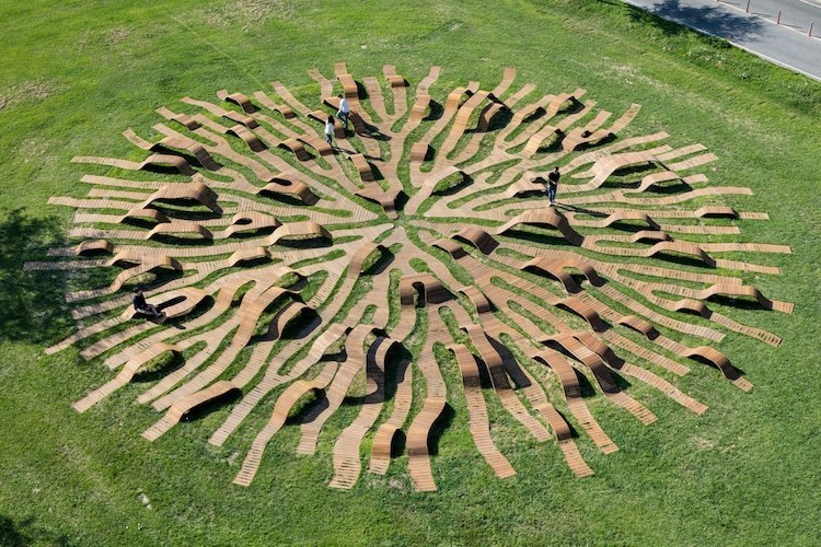 В Сеуле установили потрясающую скамью в виде корней дерева 